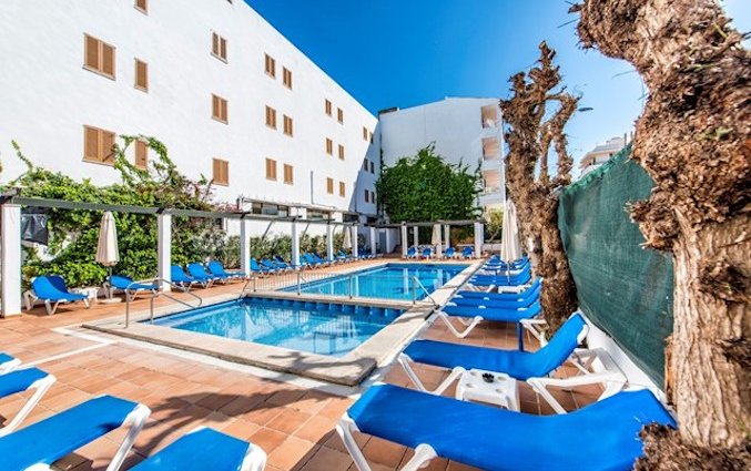 Zwembad met zonneterras van Appartementen Arcos Playa Mallorca