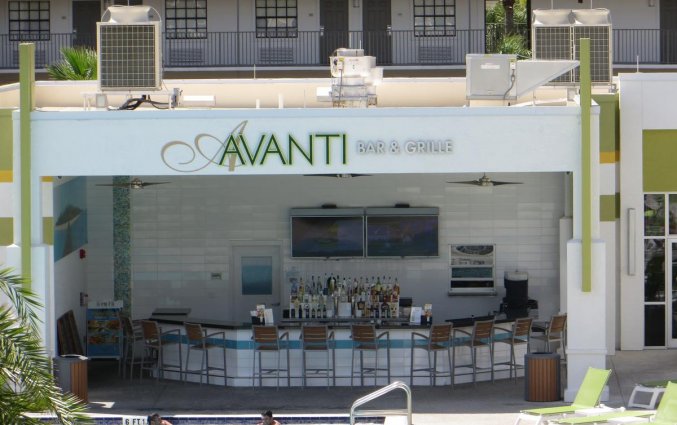 Buitenbar van Avanti International