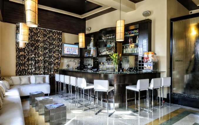 Bar van Hotel Chelsea in Miami