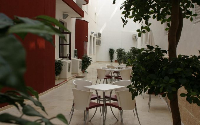 Terras van hotel Milord's Suites in Alicante