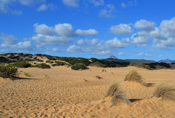 Duinen Sardinie