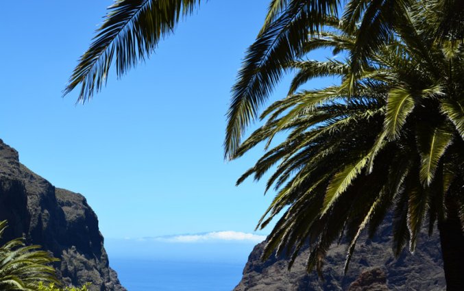 Tenerife - Natuur